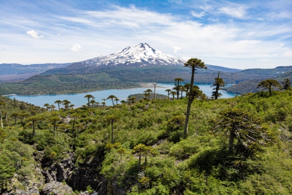 Top volcanes chilenos Un volcán en Chile